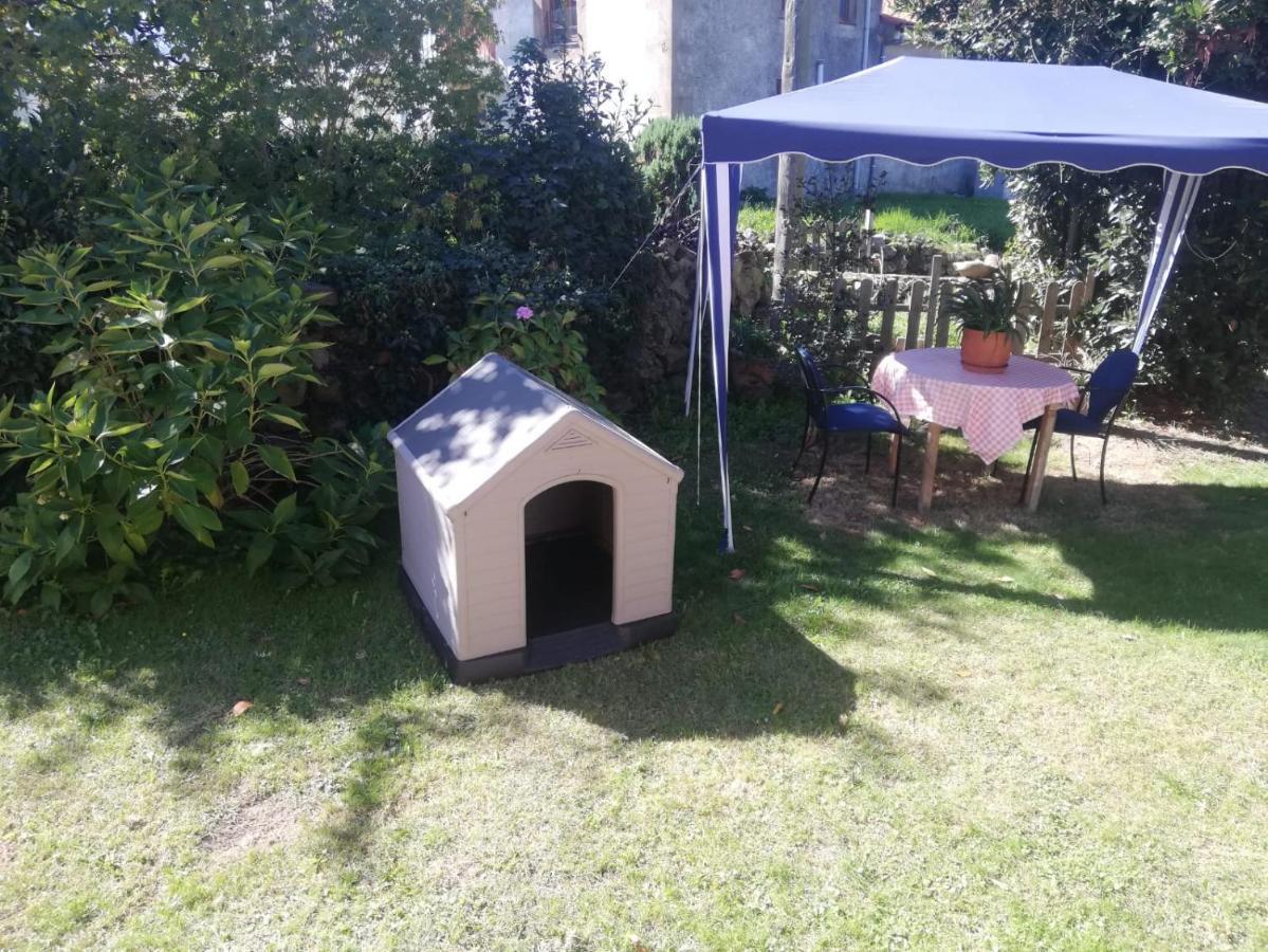 Acogedor Chalet De Tres Habitaciones En El Valle De Cabuerniga, Ideal Familias Grupos Y Mascotas Somos Pet Friendly, Estancia Minima Dos Noches Lamina Exteriér fotografie